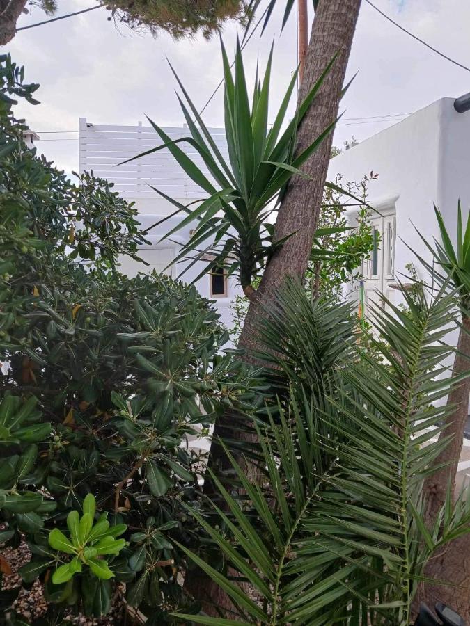 Вилла Cassaris Mykonos Drafaki Экстерьер фото