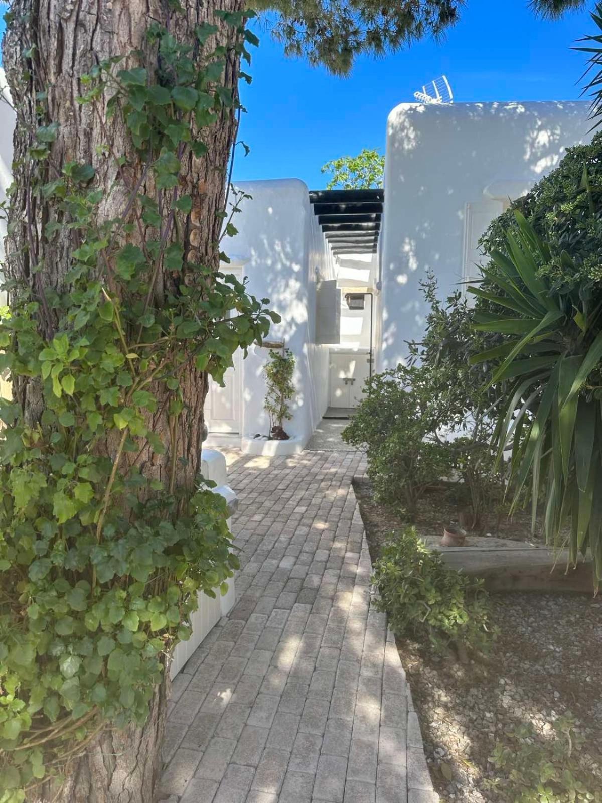Вилла Cassaris Mykonos Drafaki Экстерьер фото