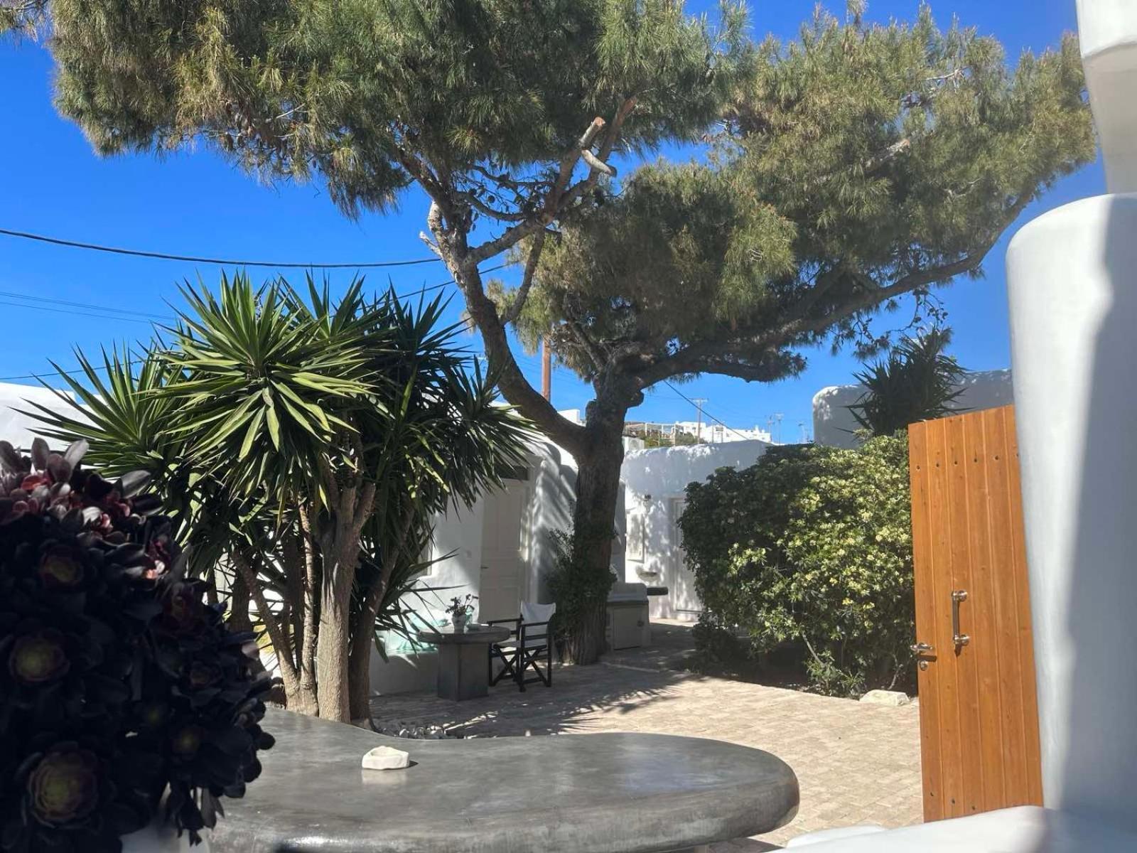 Вилла Cassaris Mykonos Drafaki Экстерьер фото